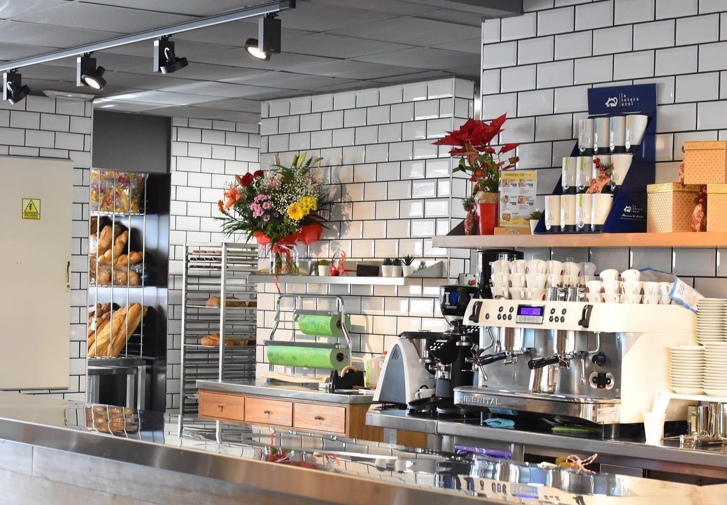 Odoo • Imagen y texto