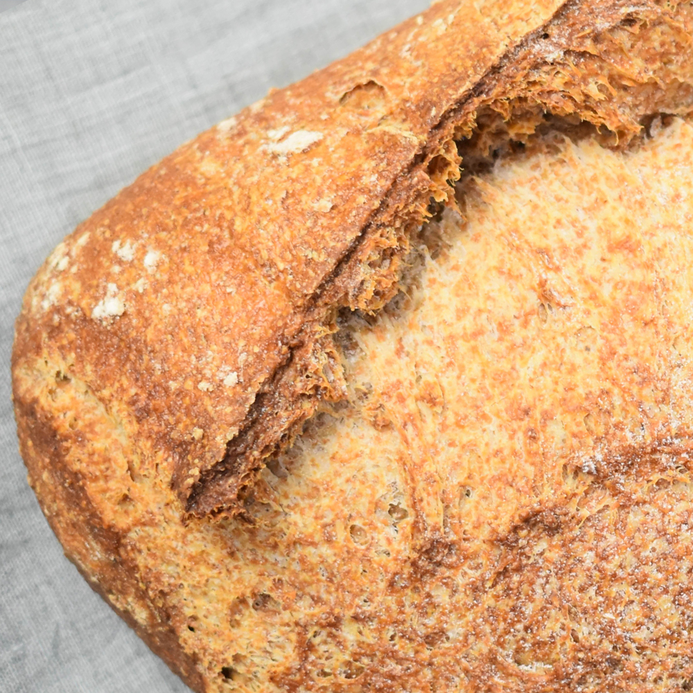 Hogaza 100x100 Integral grano completo