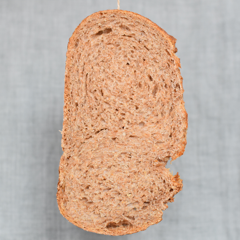 Hogaza 100x100 Integral grano completo